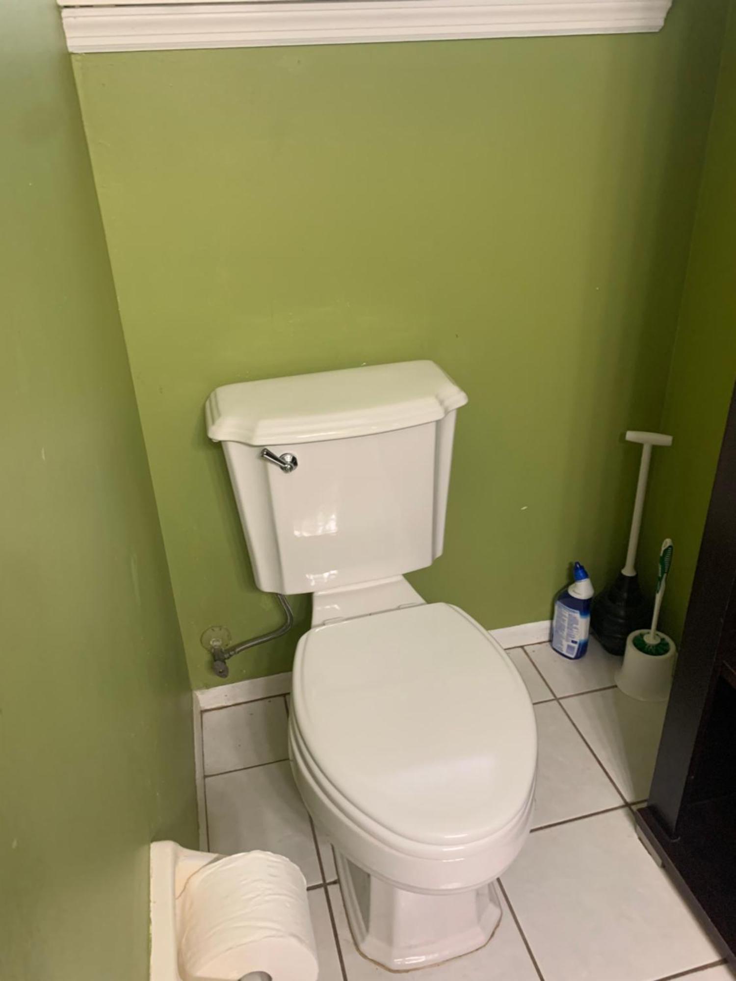 One Bed Suite Near Beaches And Downtown Sarasota Eksteriør bilde